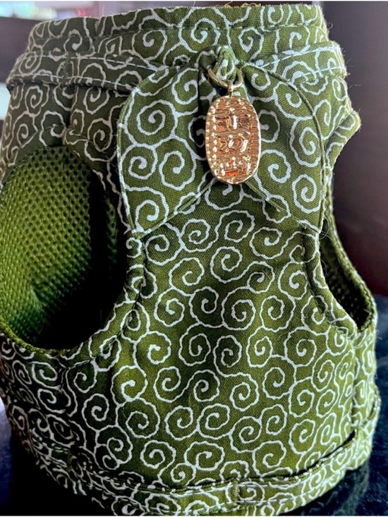 Other - Green Print Pet Harness with Charm